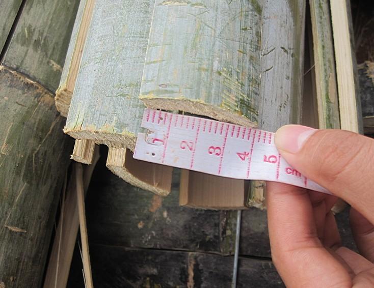 供應(yīng)毛竹片兩米片毛竹架菜竹