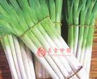 供應(yīng)批發(fā)干辣椒