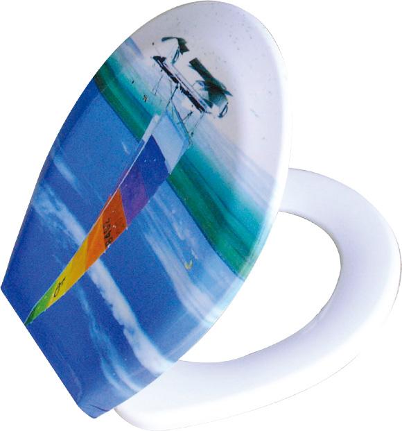 供應(yīng)馬桶蓋模具坐便器模具黃巖專業(yè)制