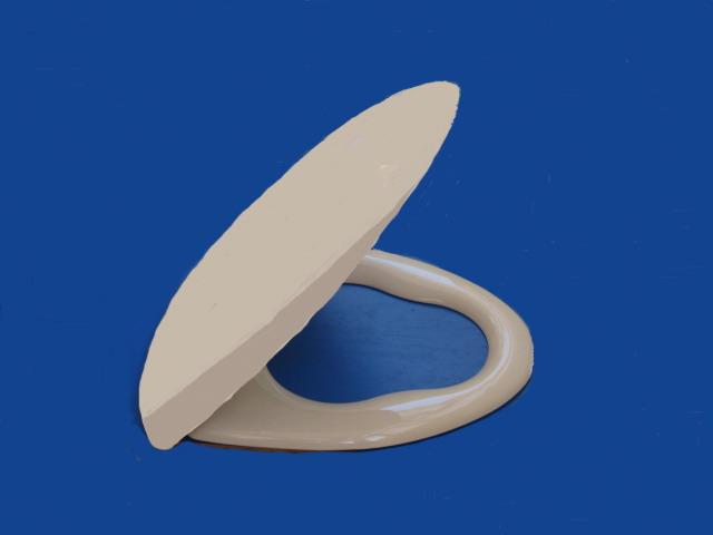 供應黃巖做的不錯的塑料馬桶蓋模具廠