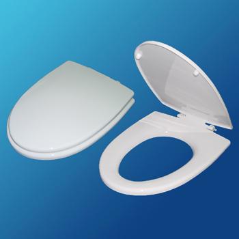 供應(yīng)黃巖*的馬桶蓋模具廠