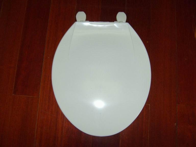 供應(yīng)訂做各種高質(zhì)量塑料馬桶蓋模具