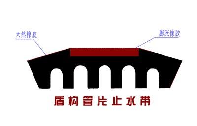 供應(yīng)管片彈性密封墊