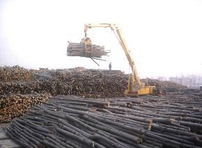 人造板木材卸車碼垛效率最高的設(shè)備圖片