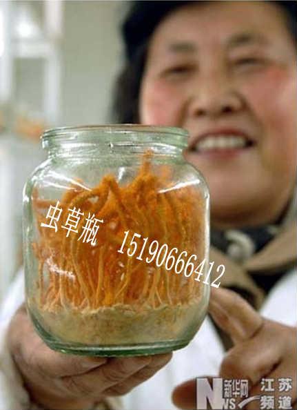 重庆虫草瓶/养殖虫草瓶图片