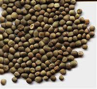 箭舌豌豆種子圖片