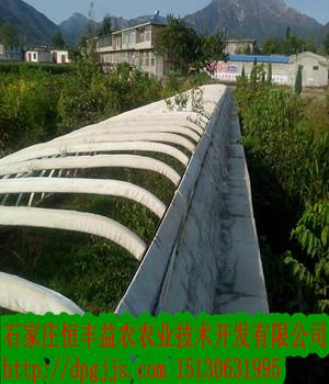 供應(yīng)無支柱大棚骨架技術(shù)轉(zhuǎn)讓，昆明無支柱大棚骨架技術(shù)轉(zhuǎn)讓