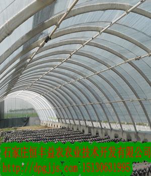 供應(yīng)溫室大棚設(shè)計(jì)安裝，山東臨沂溫室大棚建造，臨沂溫室大棚價(jià)格
