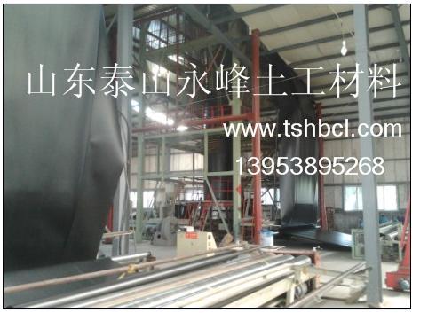 尾礦底襯防滲HDPE土工膜圖片/尾礦底襯防滲HDPE土工膜樣板圖 (2)