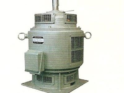 供應(yīng)電機(jī)產(chǎn)品 大連電機(jī)集團(tuán)電機(jī)產(chǎn)品