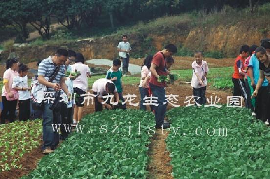 農(nóng)家樂野炊圖片/農(nóng)家樂野炊樣板圖 (3)