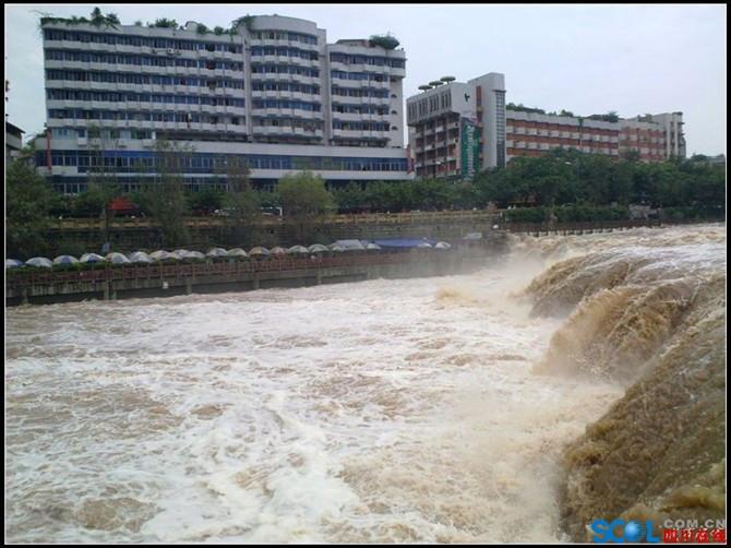 供應(yīng)四川鯽魚鯉魚草魚出售四川鯽魚鯉魚草魚出售）