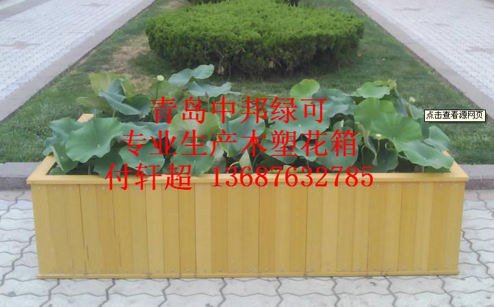 供應青島木塑花箱銷售部