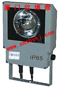 供應(yīng)卡口閃光燈