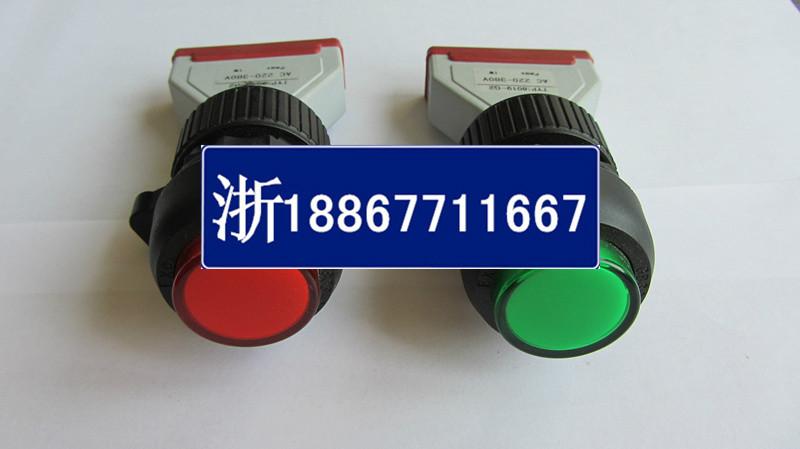 TYP8019指示燈防爆信號燈
