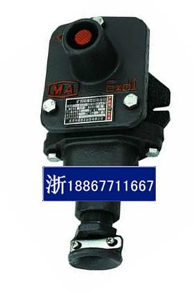 供應(yīng)DGY35/24B隔爆型照明燈