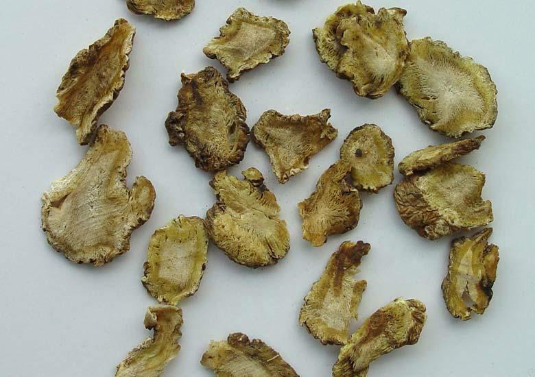 獨活提取物圖片