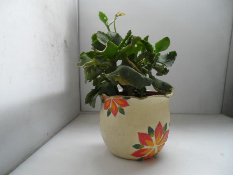 供應(yīng)樹脂工藝品花缸