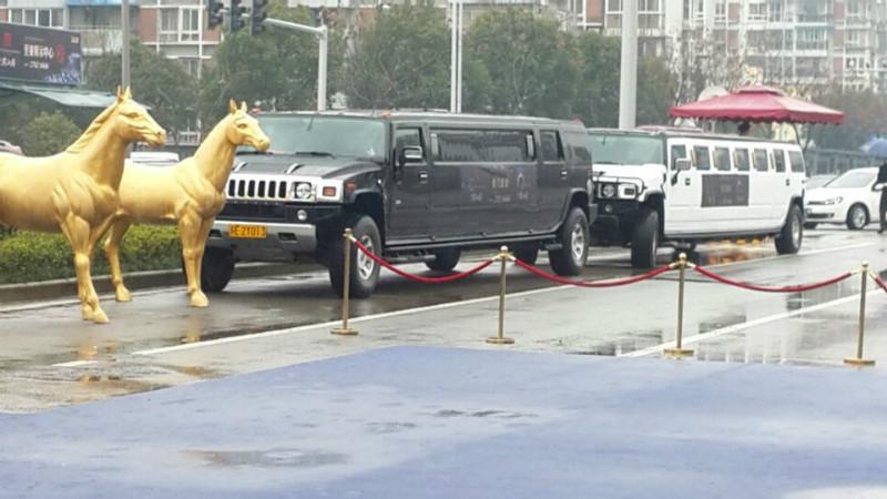 供應(yīng)江蘇租加長(zhǎng)車動(dòng)態(tài)展示