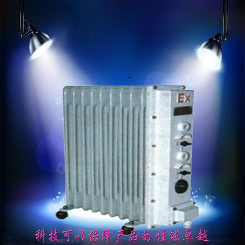 北京BYT防爆電熱油汀廠家，防爆取暖器價(jià)格