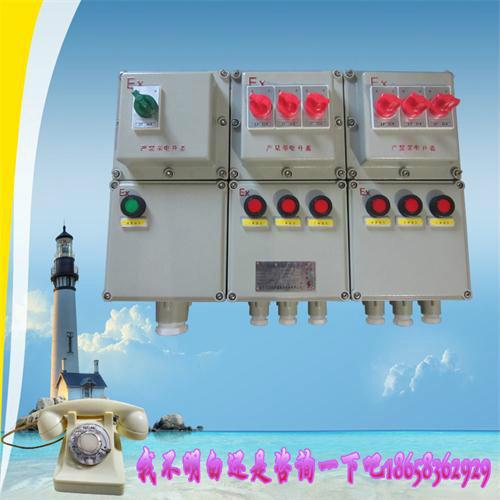 防爆照明配電箱BXM-4圖片