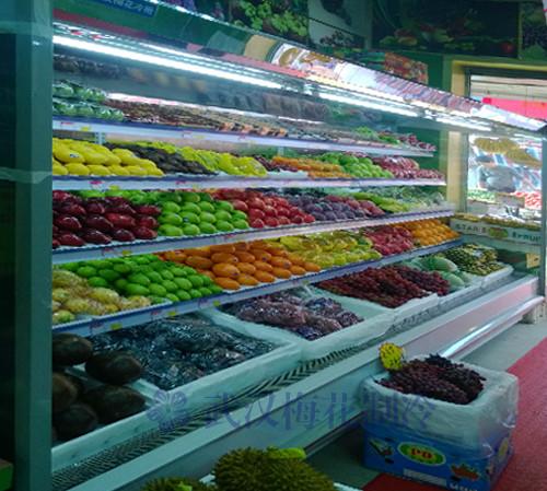 供應(yīng)武漢梅花水果保鮮柜