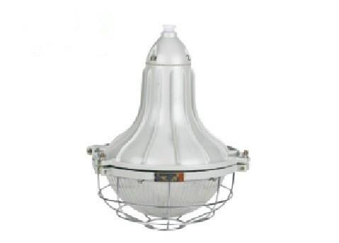 BGL-250L防爆燈圖片