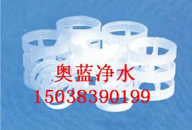 供應(yīng)鮑爾環(huán)填料，鮑爾環(huán)填料廠家 ，鮑爾環(huán)填料價(jià)格