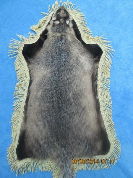 供應(yīng)*子皮*豬*