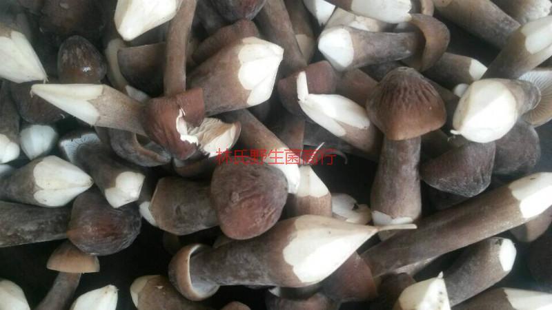 供應(yīng)順德新鮮*菌哪里有批發(fā)-林氏*菌商行