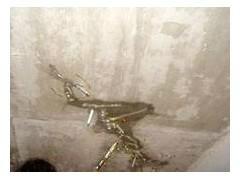 灌漿補(bǔ)漏圖片/灌漿補(bǔ)漏樣板圖 (4)