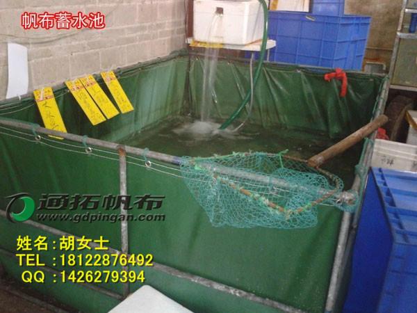 帆布魚池圖片/帆布魚池樣板圖 (3)