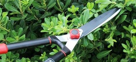 佐川吉1038綠籬剪廠家、園藝*、佐川吉修枝剪1038、園林工具