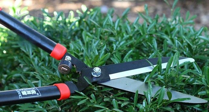 佐川吉修枝剪1018廠家、綠籬剪修枝剪、佐川吉*園藝工具