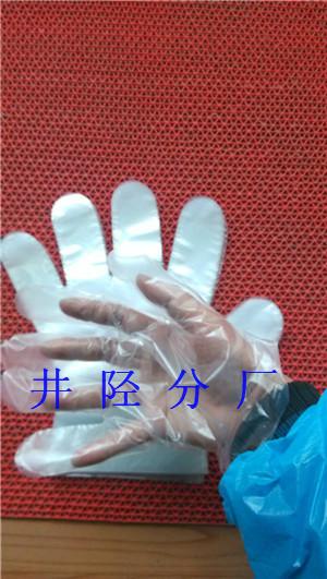 一次性使用PE手套圖片