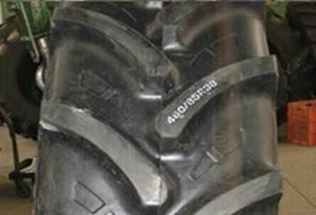 人字輪胎圖片/人字輪胎樣板圖 (3)