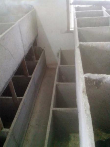 供應(yīng)*種苗銷售