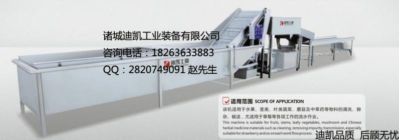 供應(yīng)全自動果蔬清洗機