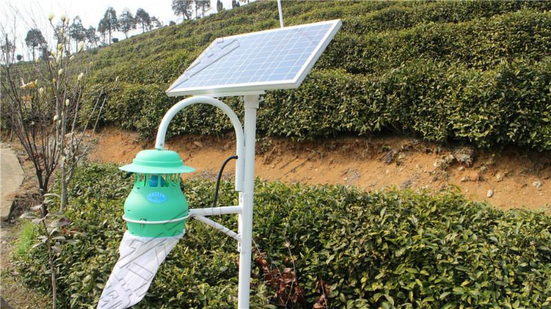 殺蟲燈/立桿式太陽(yáng)能殺蟲燈圖片