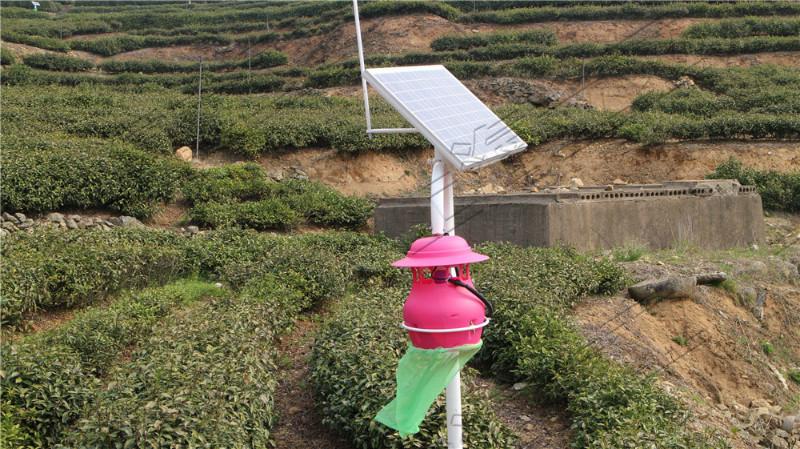 供應(yīng)殺蟲(chóng)燈廠家/上海殺蟲(chóng)燈價(jià)格