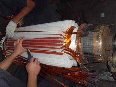 供應(yīng)三相整流子電機(jī)維修廠家