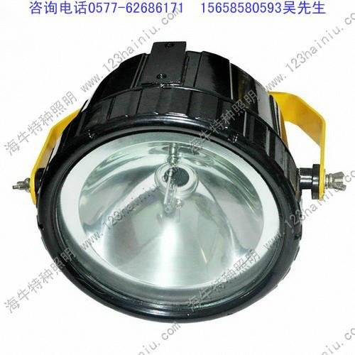 DGY100防爆投光燈圖片