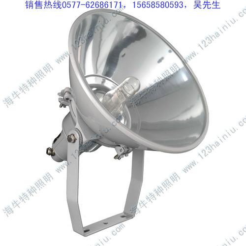 供應(yīng)溫州NTC9200投光燈，NTC9200投光燈廠家
