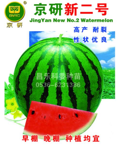 供應(yīng)京研新二號華欣一號華欣二號華欣AAA