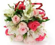 供應香檳玫瑰鮮花進口報關(guān)