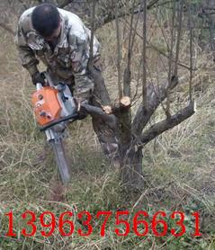廠家供應(yīng)挖樹機(jī)  便攜式挖樹機(jī)