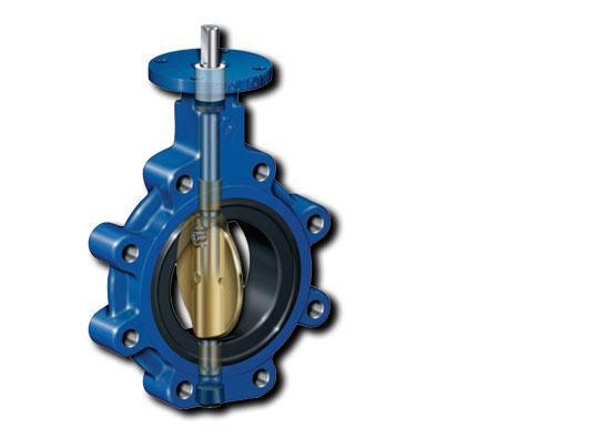 軟密封彈性閥座蝶閥圖片