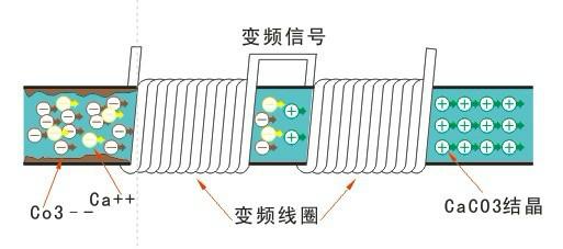 珀蓝特缠绕式全频道感应水处理器