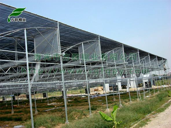 供應(yīng)壽光方群棚業(yè)