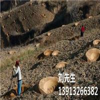 供應昆山黃沙批發(fā)商